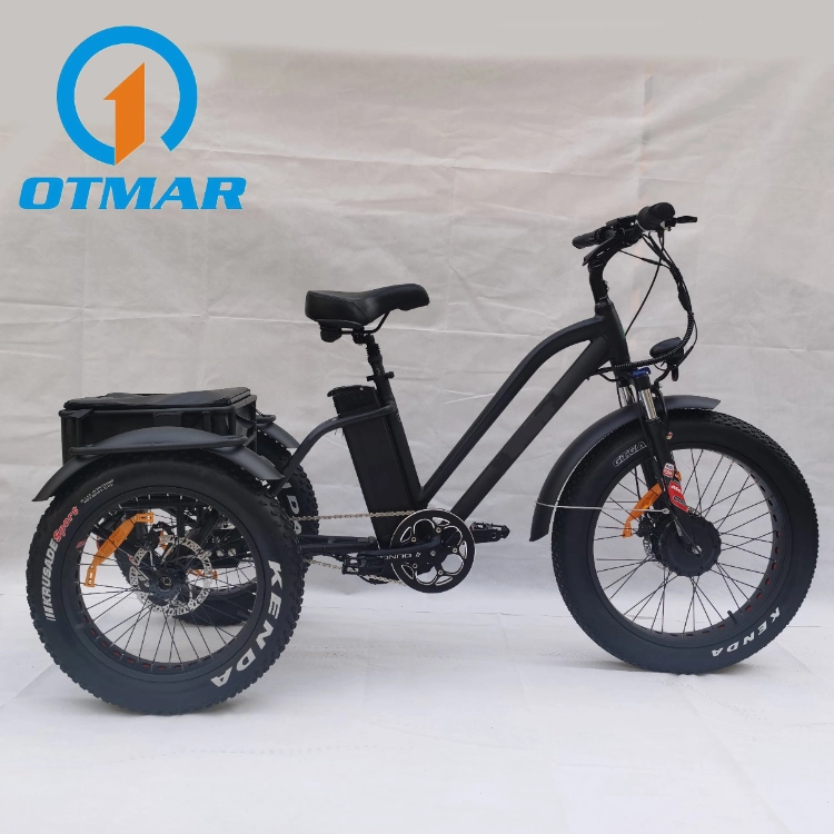 24 Inch Electric Cargo Bike Fat Tire Motorcycles Adult Three Wheel E Trike OEM Customized Factory Direct Sales Powered Electric Trike