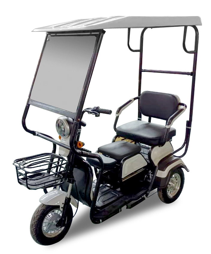 China Top Brand Adult Folding Cheap Good Quality Electric Tuk Tuk Sightseeing Rickshaw Electric Tricycle