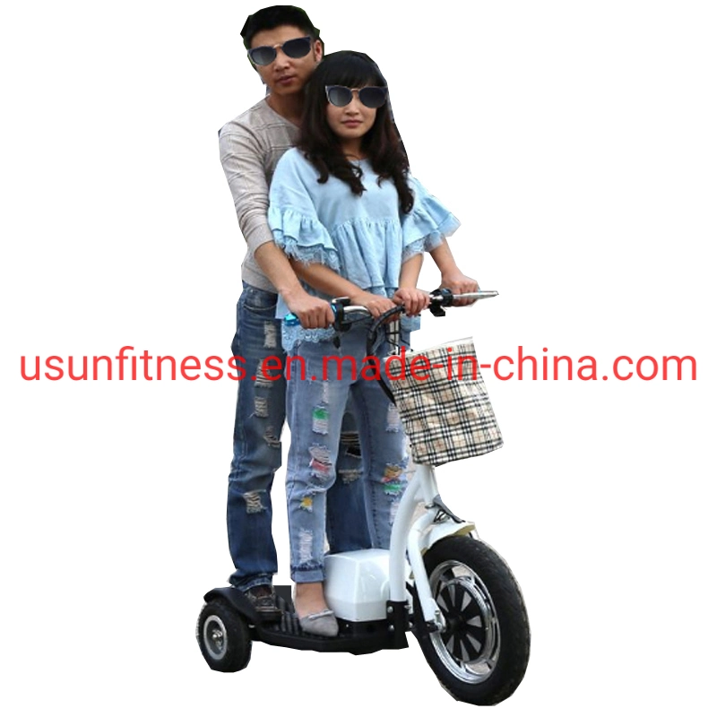 Promotion High Speed Folding Electirc Scooter Front Hub Motor Disk Brake Fat Tire Electric Trike for Leisure and Rental