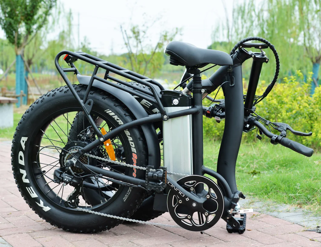 OEM 48V 13ah 7-Speed 800W Electric Bike for Adult