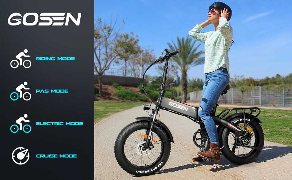 Electric Fat Bike Beach Cruiser Electric Bicycle 7 Speed 48V 750W E-Bike