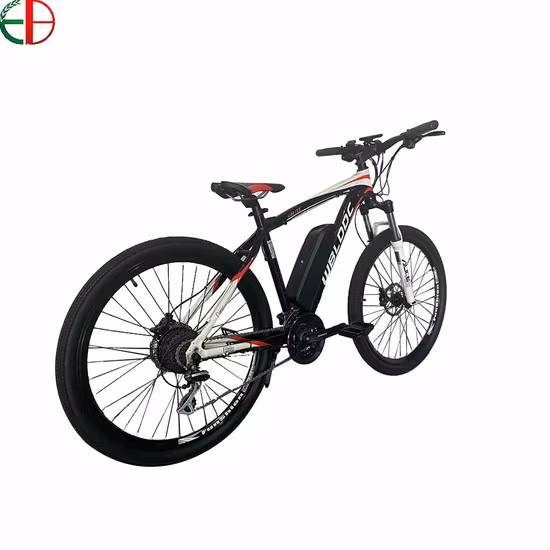 20 Zoll Step-Through Fat Tire faltbares Beach Cruiser Elektro-Citybike mit Lithium-Batterie