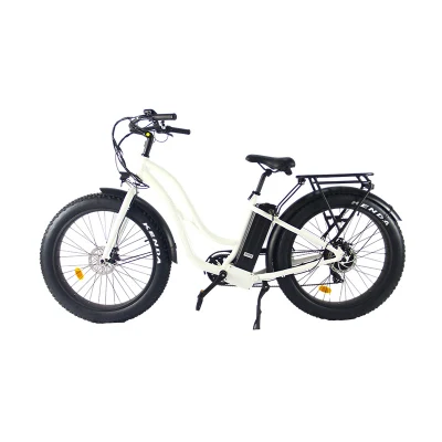 26 Zoll 48V 500W Lithiumbatterie City Elektrofahrrad Elelctric Moutainbike Elektrofahrrad