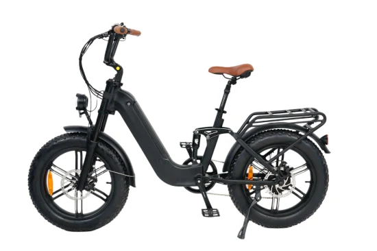 Queene/48V 750W Versteckte Batterie Fat Tire Elektrisches E-Fahrrad Vollgefedertes Elektrofahrrad Mountainbike