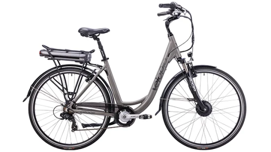 Maßgeschneiderte Räder mit variabler Geschwindigkeit, elektrisches City-Urban-Fahrrad für Damen