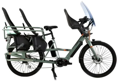 Wagon 36V 250W/48V 500W Mittelmotor-Elektro-Lastenfahrrad