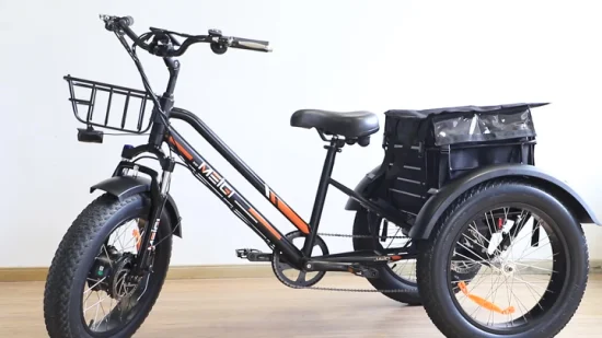 48V500W 48V10.4ah Lithium-Batterie vorne/hinten Scheibenbremse Fat Tire Elektro-Trike