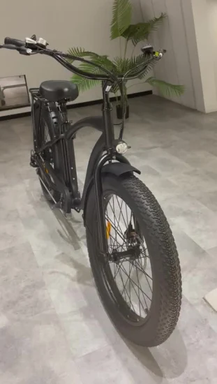 China 750W Fat Tire Elektrofahrrad E-Bike für Männer mit Vollfederung