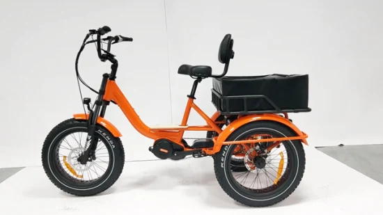 Adult China Fat Tire Dual Lithium Electric Trike Cargo Turkey E Trike zu verkaufen 20 Zoll M400 MID Motor faltbares elektrisches Trike mit starkem Differential