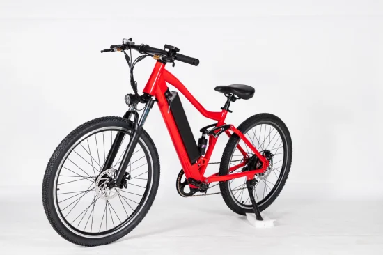 48V 26-Zoll-Offroad-Mountain-Elektrofahrrad mit vollgefedertem E-Bike für Erwachsene